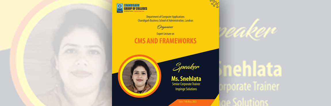 Expert Lecture on “CMS and Frameworks” 